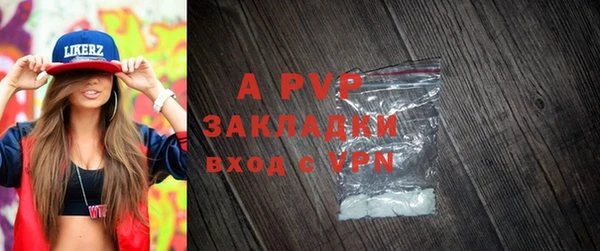 сатива Магадан