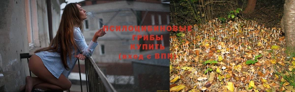 jwh Магас