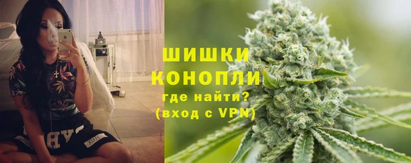 сатива Магадан