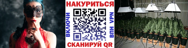 Бошки марихуана планчик  купить наркотик  Карачев 